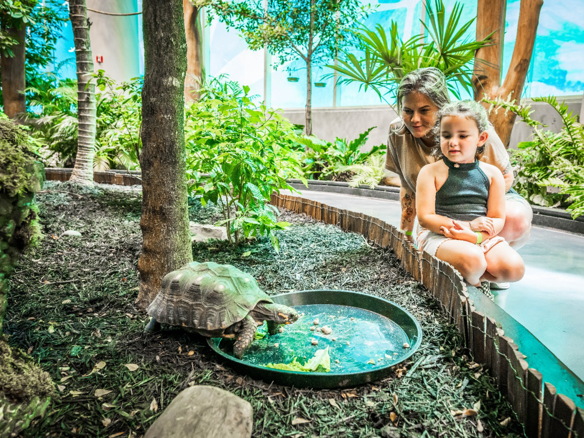 mother and daughter enjoying rainforest exhibit at Orlando Science Center LIFE