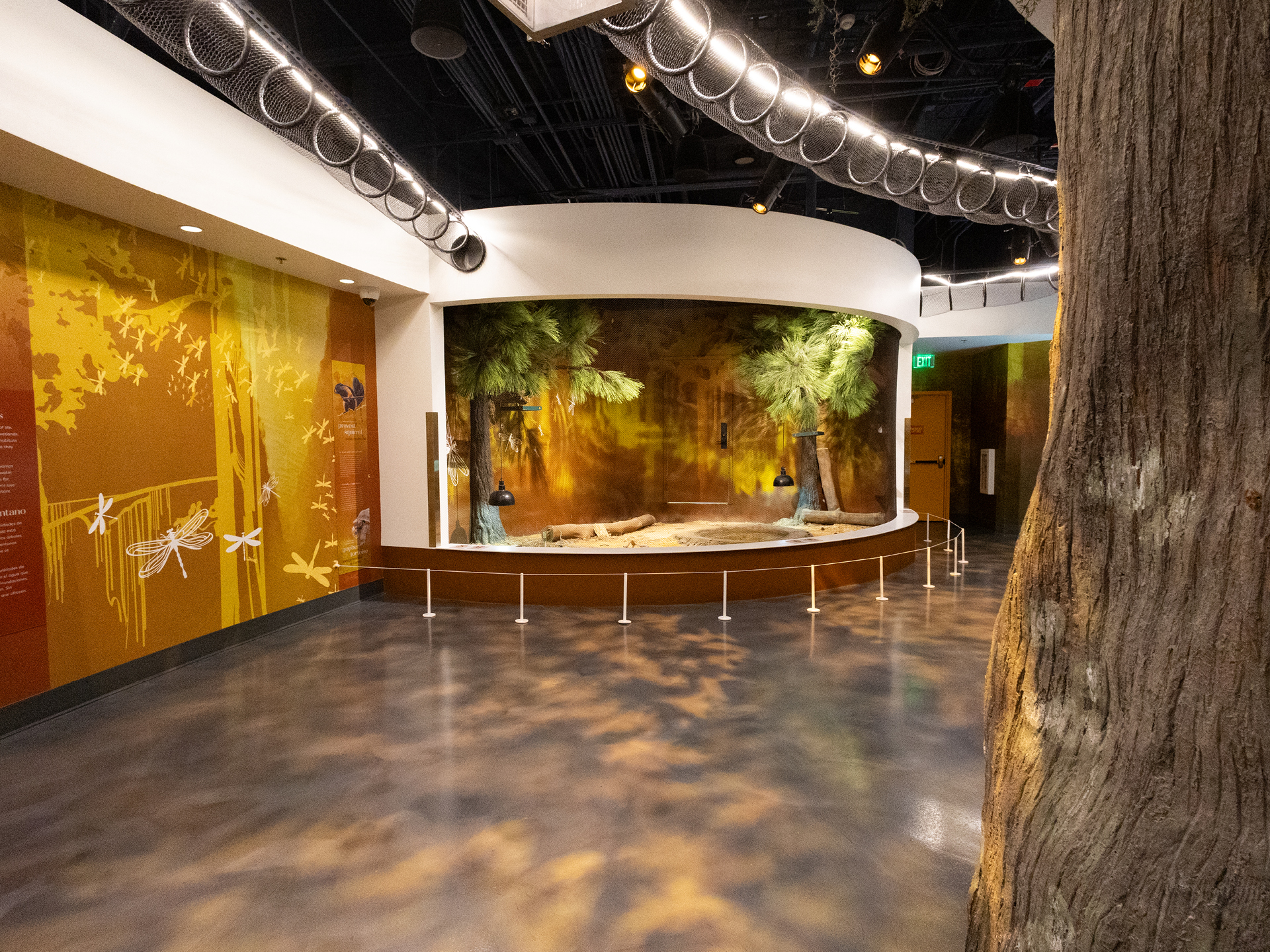 desert exhibit entrance at Orlando Science Center LIFE