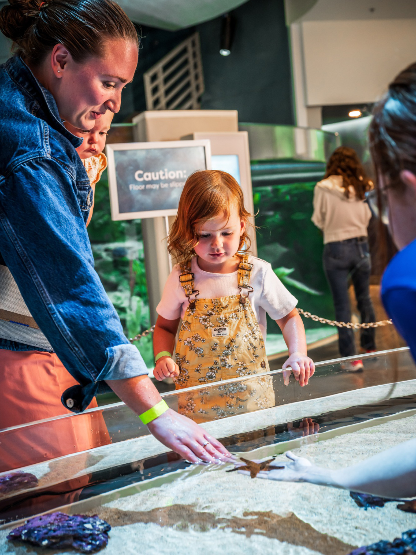 family enjoying touch tank at Orlando Science Center LIFE