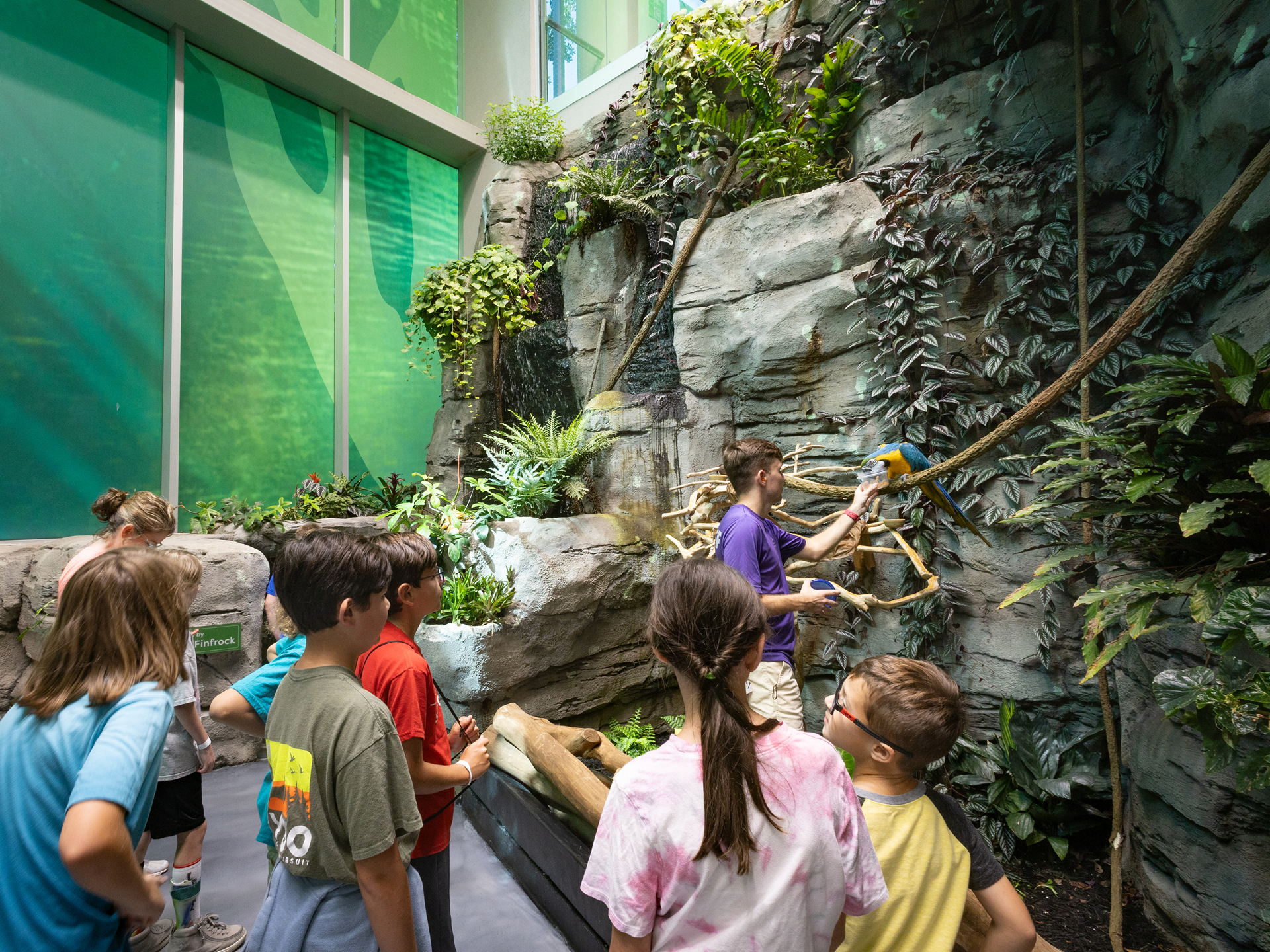 children interacting with animal in rainforest exhibit at Orlando Science Center LIFE