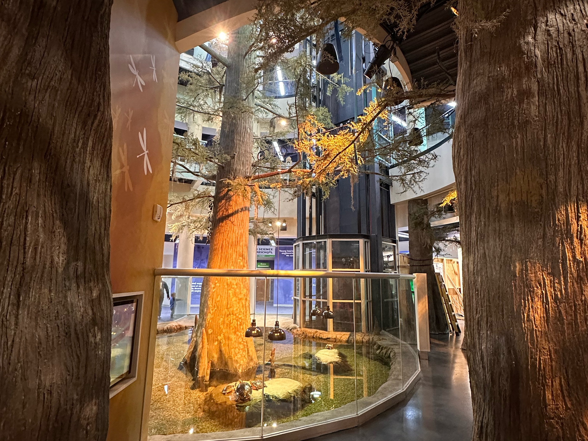 swamp area entrance at Orlando Science Center LIFE