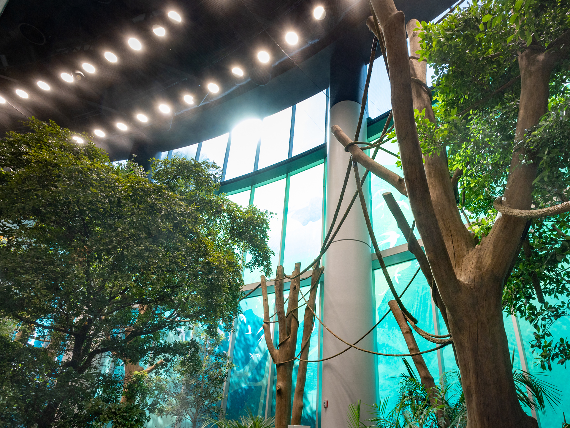 rainforest entrance at Orlando Science Center LIFE