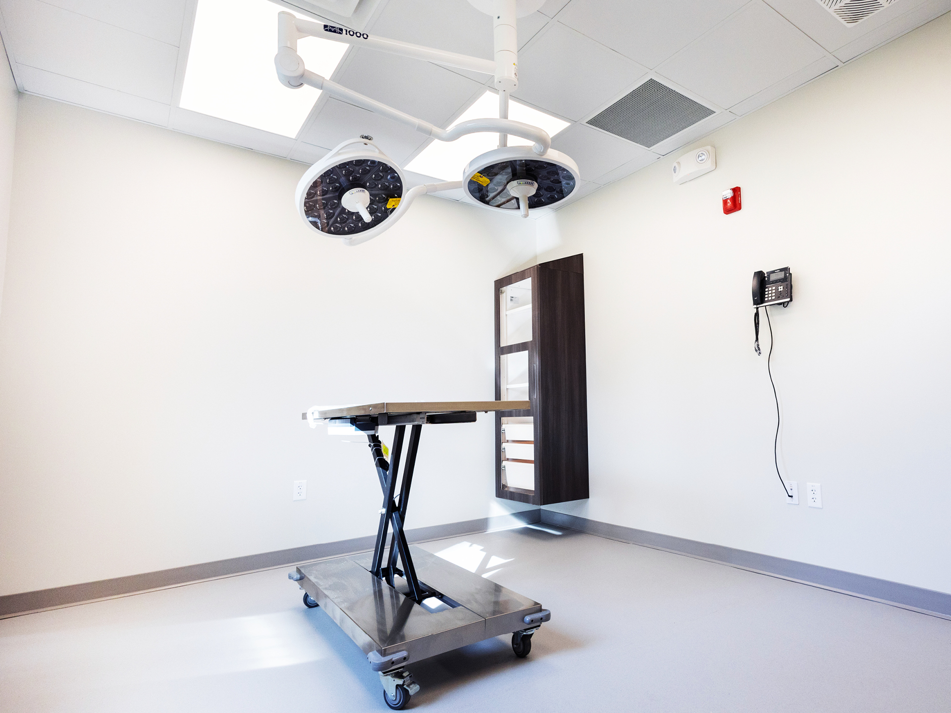 Angled view operating room of Oviedo Veterinary Emergency Clinic