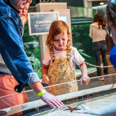 Mother and child looking at touch tank at Orlando Science Center LIFE Exhibit in Orlando Florida